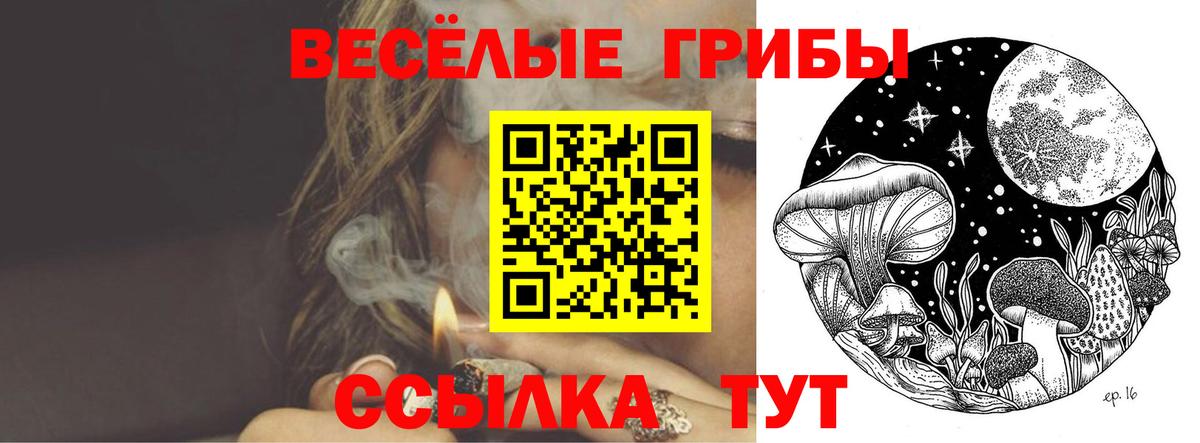 цены наркотик  Галлюциногенные грибы GOLDEN TEACHER  Галлюциногенные грибы прущие грибы  Вход с VPN  Кумертау 