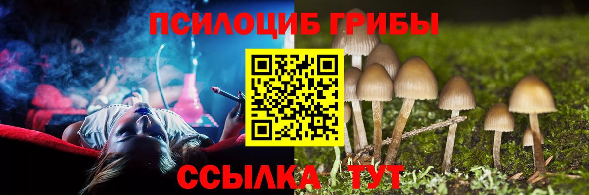 Псилоцибиновые грибы мицелий Кумертау